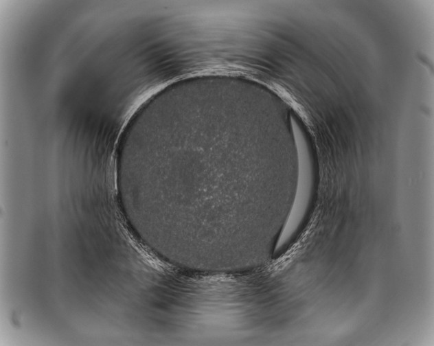 X0000097490838200802291430