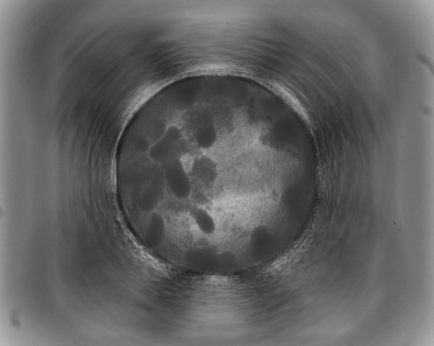 X0000097490839200802291430