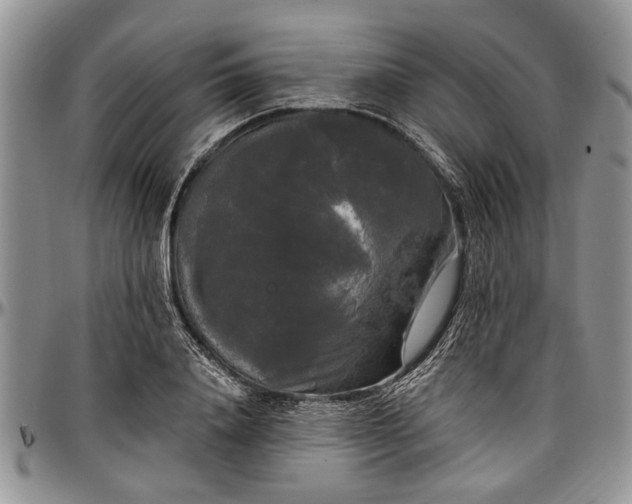 X0000097490840200802291430