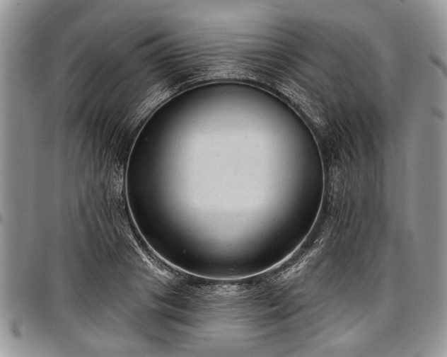 X0000097490841200802291430