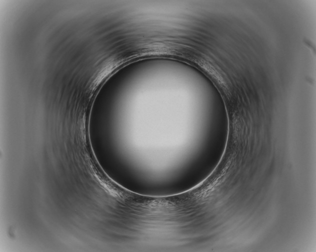 X0000097490842200802291430