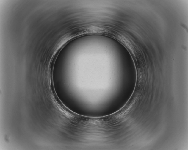 X0000097490843200802291430