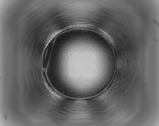 X0000097490844200802291430