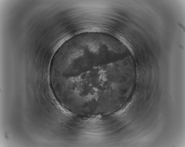 X0000097490845200802291430