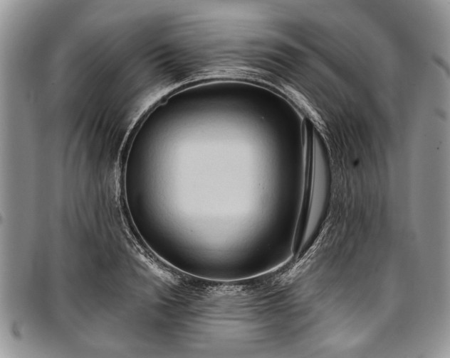 X0000097490846200802291430