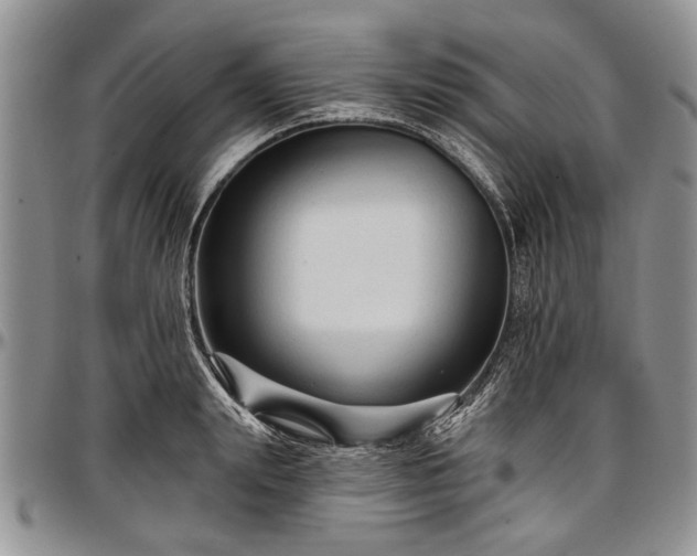 X0000097490847200802291430