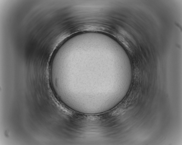 X0000097490848200802291430