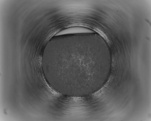 X0000097490849200802291430