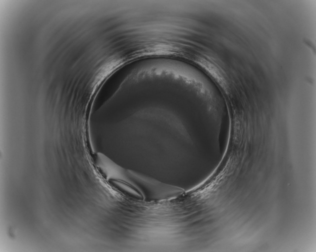 X0000097490850200802291430