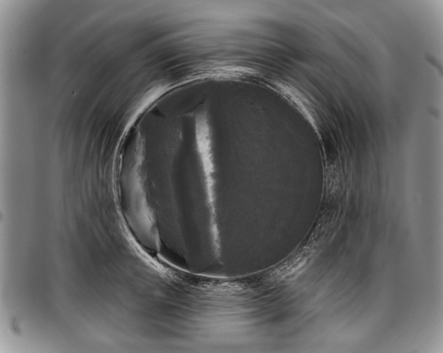 X0000097490851200802291430