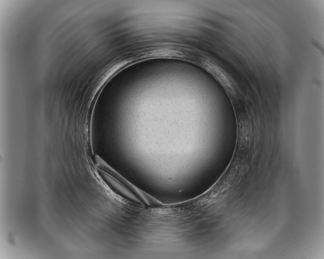 X0000097490852200802291430