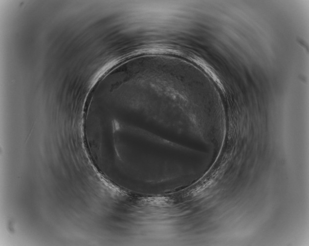 X0000097490853200802291430