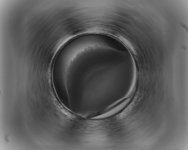 X0000097490854200802291430