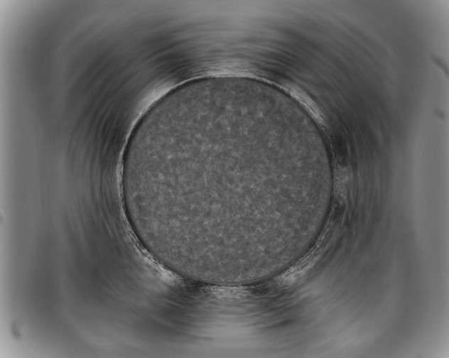 X0000097490856200802291430