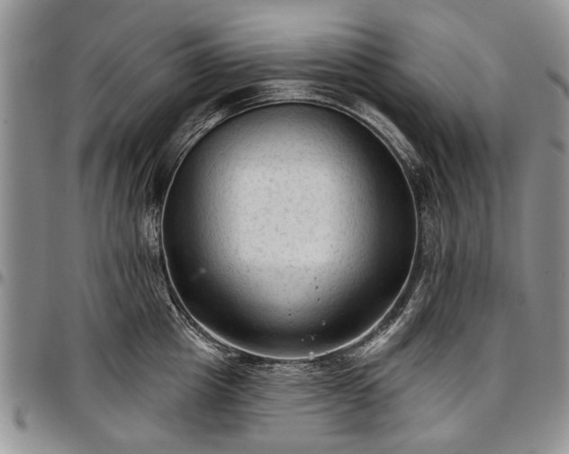 X0000097490857200802291430