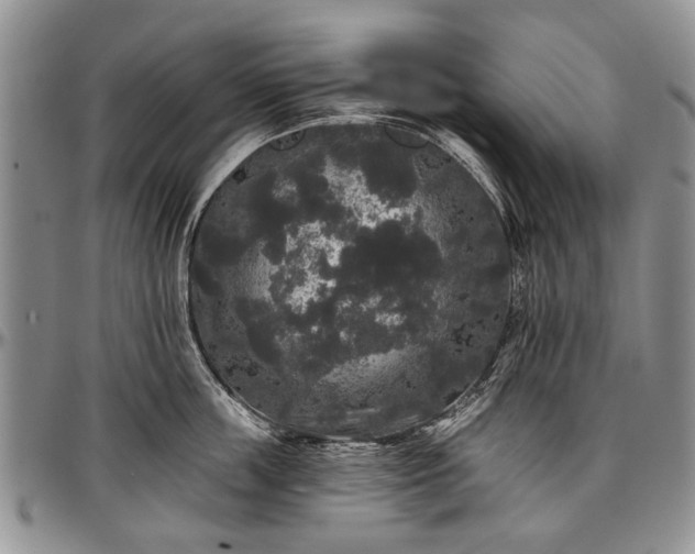 X0000097490859200802291430