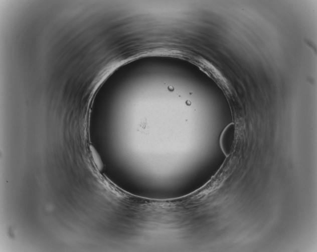 X0000097490860200802291430