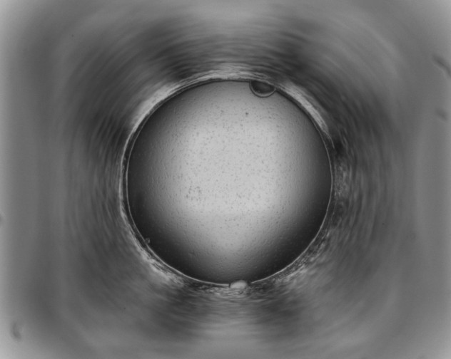 X0000097490861200802291430