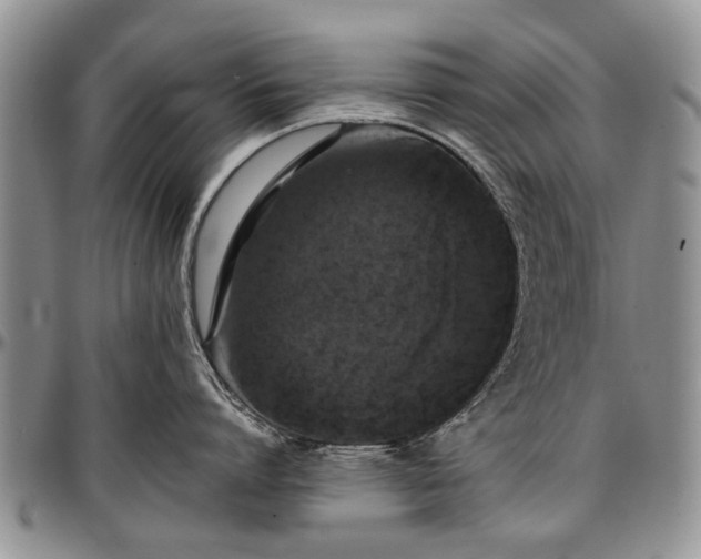 X0000097490864200802291430