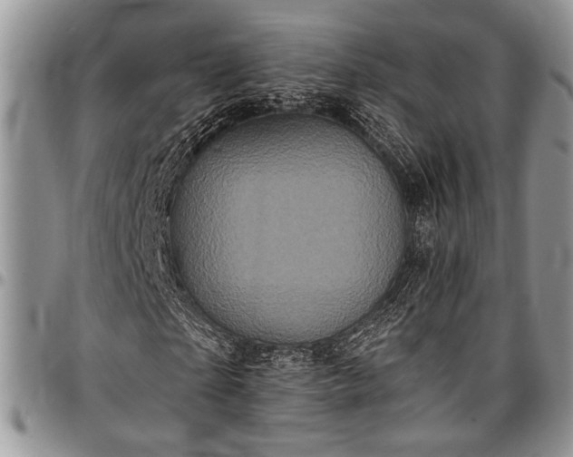 X0000097490865200802291430