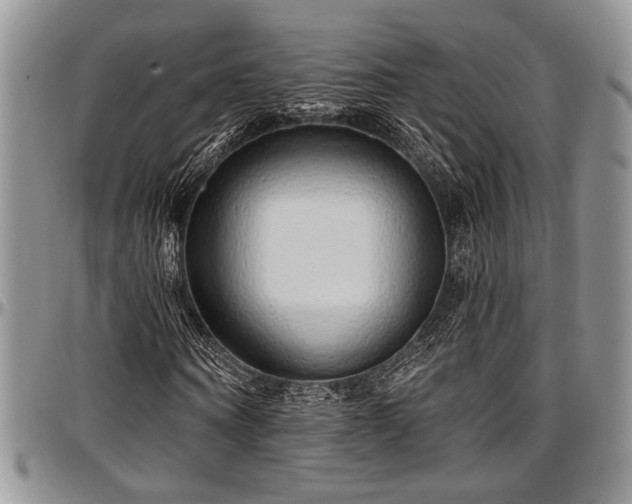 X0000097490866200802291430