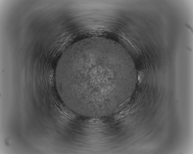 X0000097490867200802291429