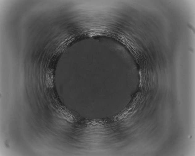 X0000097490868200802291429