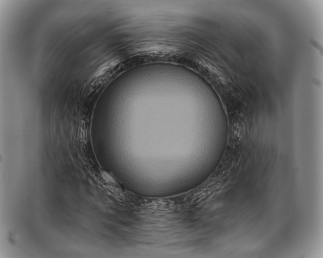 X0000097490869200802291429