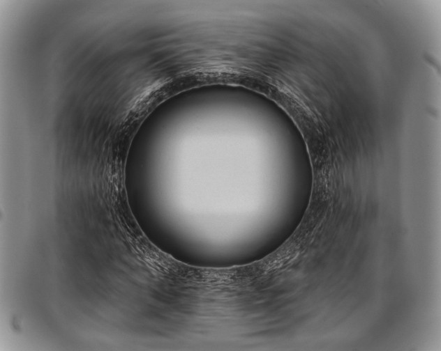 X0000097490870200802291429