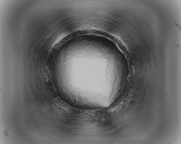 X0000097490871200802291429