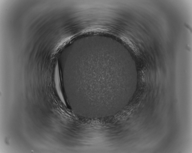 X0000097490872200802291429