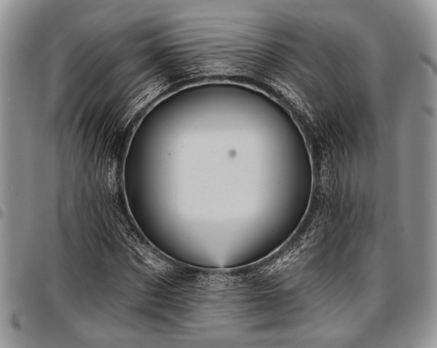 X0000097490873200802291429