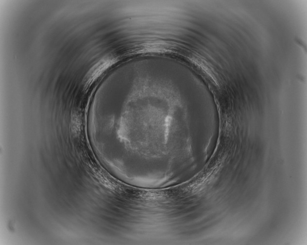 X0000097490874200802291429