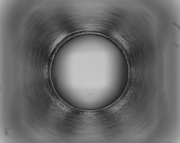 X0000097490875200802291429