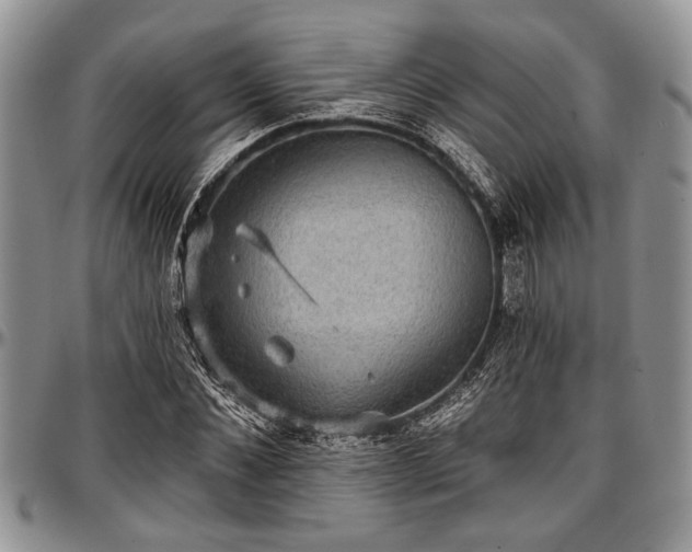 X0000097490876200802291429