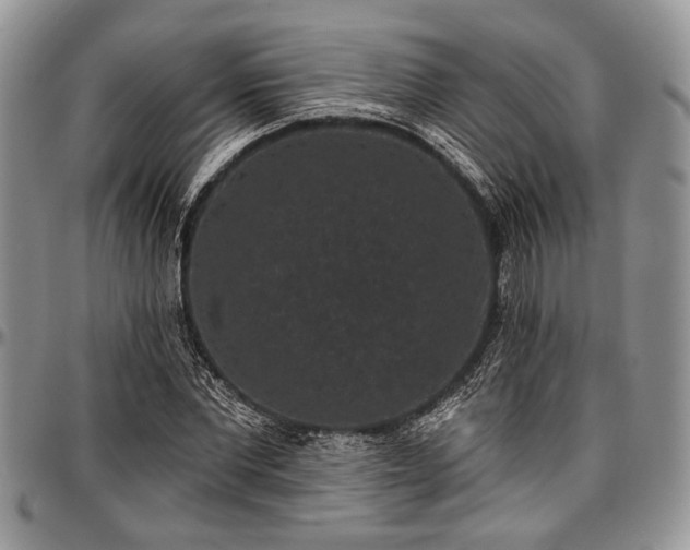 X0000097490877200802291429