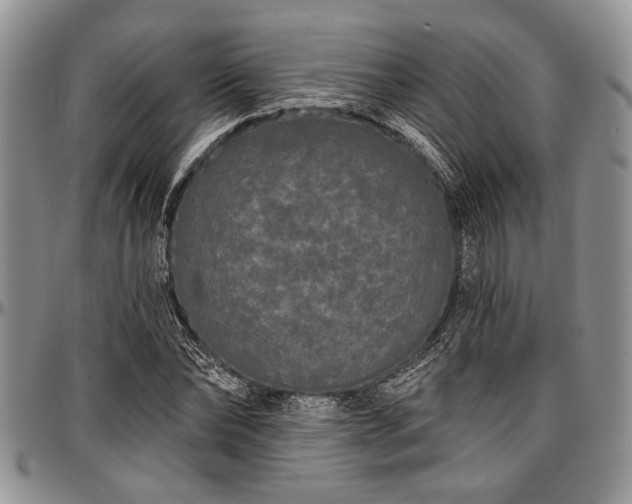 X0000097490878200802291429