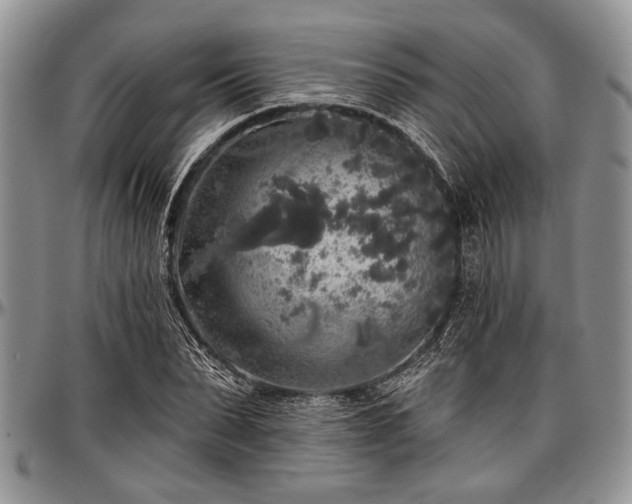 X0000097490879200802291429