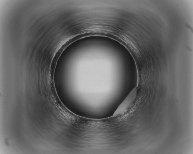 X0000097490880200802291429