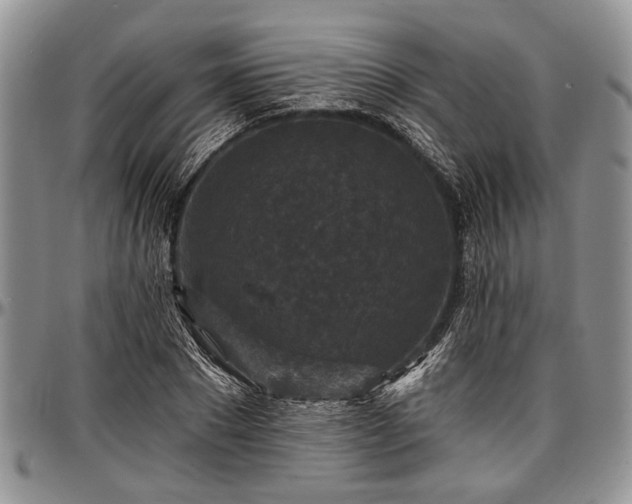 X0000097490881200802291429