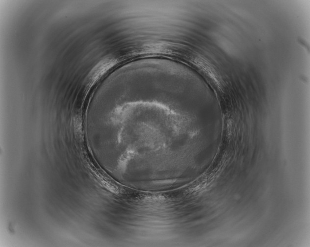 X0000097490882200802291429