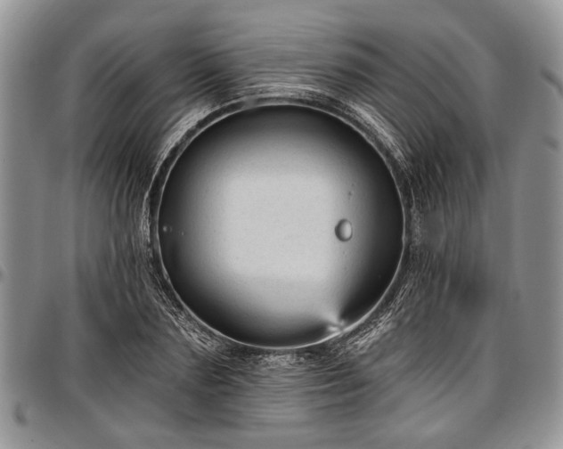 X0000097490883200802291429