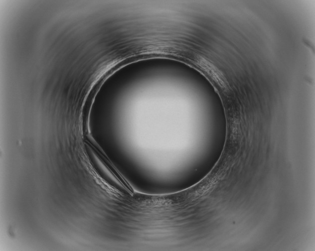 X0000097490884200802291429