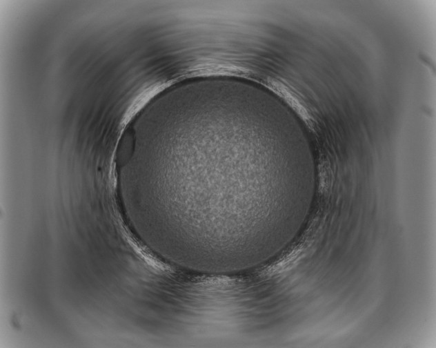 X0000097490885200802291429