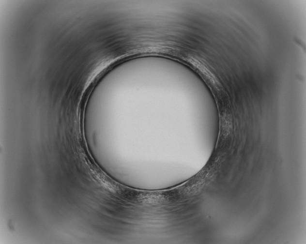 X0000097490886200802291429