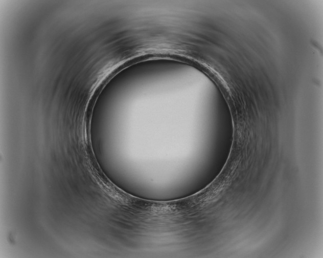 X0000097490887200802291429