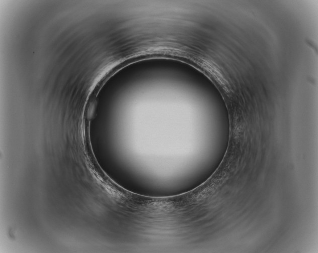 X0000097490888200802291429