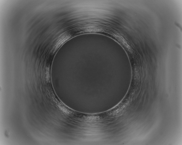 X0000097490889200802291429