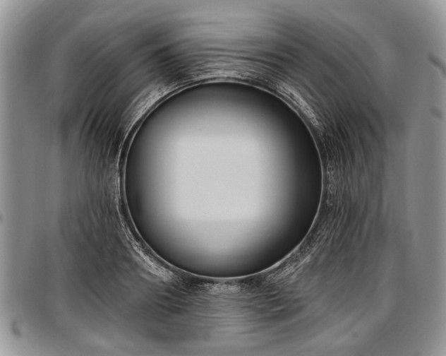 X0000097490890200802291429