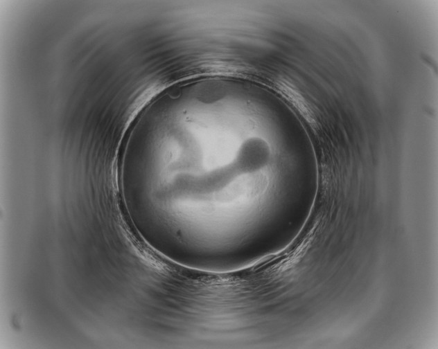 X0000097490891200802291429